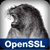 OpenSSL logo