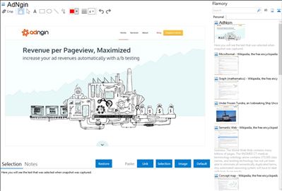 AdNgin - Flamory bookmarks and screenshots