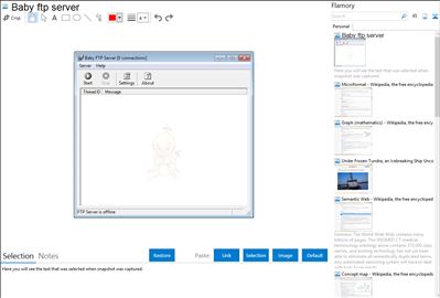 Baby ftp server - Flamory bookmarks and screenshots