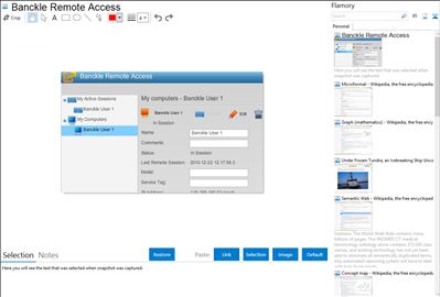 Banckle Remote Access - Flamory bookmarks and screenshots
