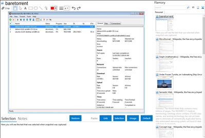 baretorrent - Flamory bookmarks and screenshots
