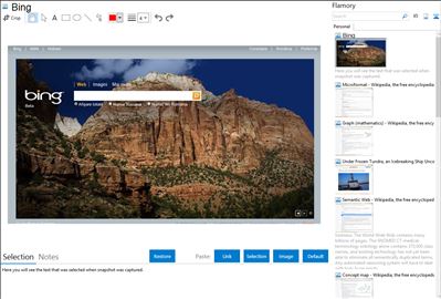 Bing - Flamory bookmarks and screenshots