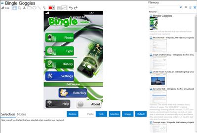 Bingle Goggles - Flamory bookmarks and screenshots