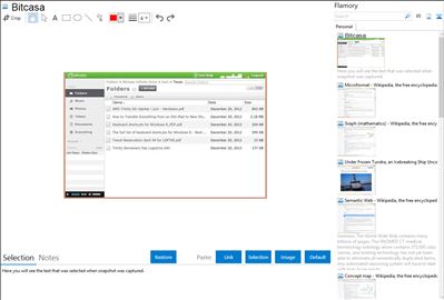 Bitcasa - Flamory bookmarks and screenshots