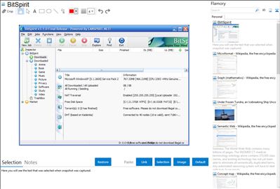 BitSpirit - Flamory bookmarks and screenshots