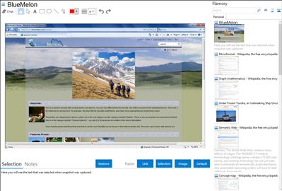 BlueMelon - Flamory bookmarks and screenshots