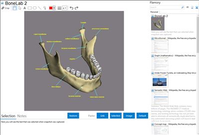 BoneLab 2 - Flamory bookmarks and screenshots