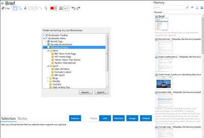 Brief - Flamory bookmarks and screenshots