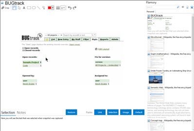 BUGtrack - Flamory bookmarks and screenshots