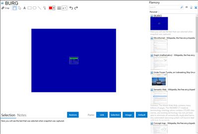 BURG - Flamory bookmarks and screenshots