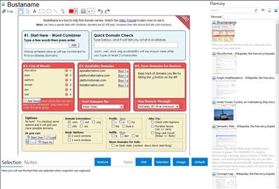 Bustaname - Flamory bookmarks and screenshots