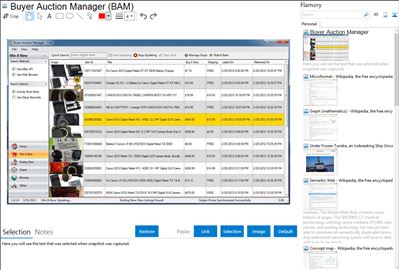 Buyer Auction Manager (BAM) - Flamory bookmarks and screenshots