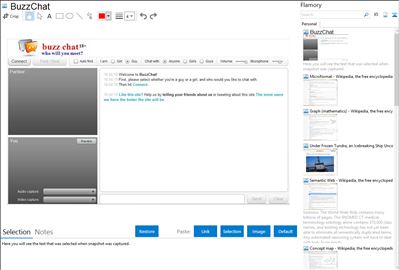 BuzzChat - Flamory bookmarks and screenshots