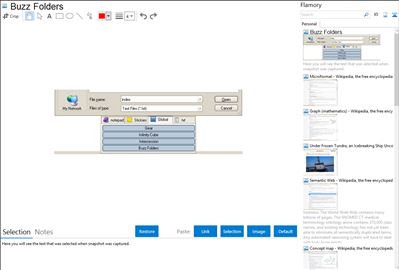 Buzz Folders - Flamory bookmarks and screenshots