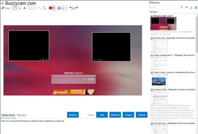Buzzycam.com - Flamory bookmarks and screenshots