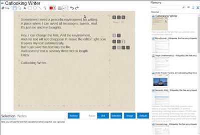 Catlooking Writer - Flamory bookmarks and screenshots