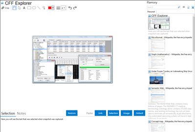 CFF Explorer - Flamory bookmarks and screenshots