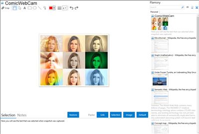 ComicWebCam - Flamory bookmarks and screenshots