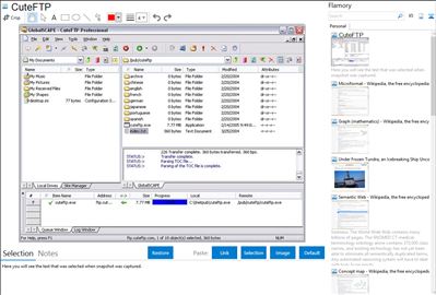 CuteFTP - Flamory bookmarks and screenshots