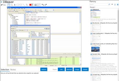 DBeaver - Flamory bookmarks and screenshots
