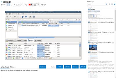 Deluge - Flamory bookmarks and screenshots