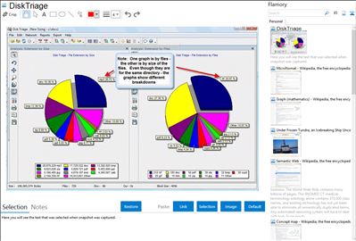 DiskTriage - Flamory bookmarks and screenshots