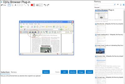 DjVu Browser Plug-in - Flamory bookmarks and screenshots