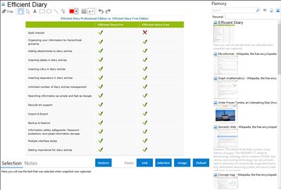 Efficient Diary - Flamory bookmarks and screenshots