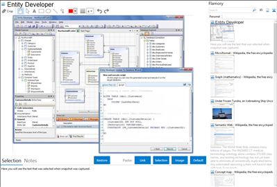 Entity Developer - Flamory bookmarks and screenshots