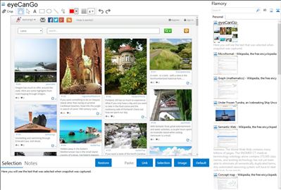 eyeCanGo - Flamory bookmarks and screenshots