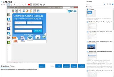 EzSnap - Flamory bookmarks and screenshots