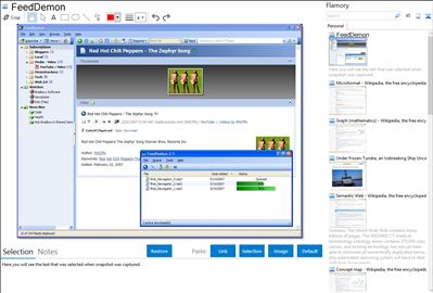 FeedDemon - Flamory bookmarks and screenshots