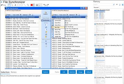 File Synchronizer - Flamory bookmarks and screenshots