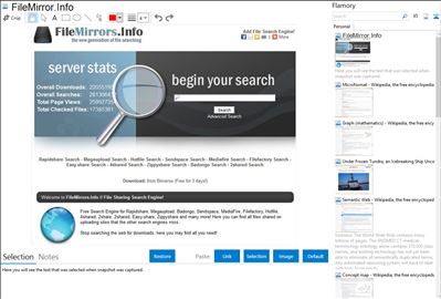 FileMirror.Info - Flamory bookmarks and screenshots
