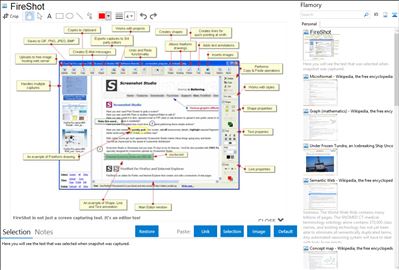 FireShot - Flamory bookmarks and screenshots