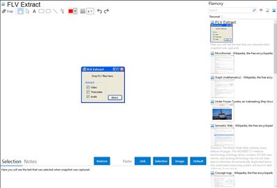 FLV Extract - Flamory bookmarks and screenshots
