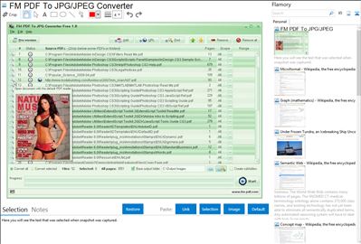 FM PDF To JPG/JPEG Converter - Flamory bookmarks and screenshots