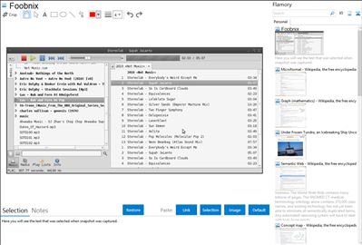 Foobnix - Flamory bookmarks and screenshots