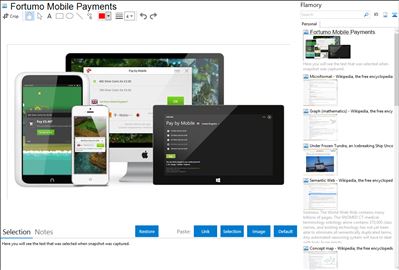 Fortumo Mobile Payments - Flamory bookmarks and screenshots