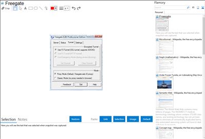 Freegate - Flamory bookmarks and screenshots