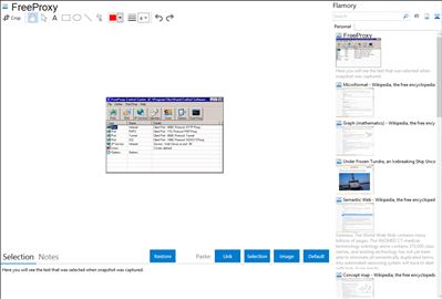 FreeProxy - Flamory bookmarks and screenshots