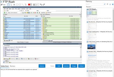 FTP Rush - Flamory bookmarks and screenshots