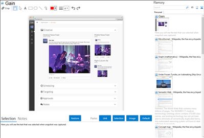 Gain - Flamory bookmarks and screenshots
