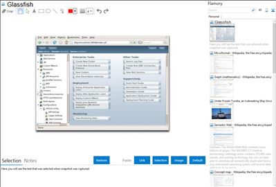 Glassfish - Flamory bookmarks and screenshots