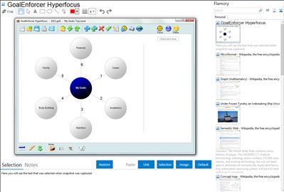 GoalEnforcer Hyperfocus - Flamory bookmarks and screenshots