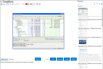 GoodSync - Flamory bookmarks and screenshots