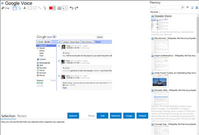 Google Voice - Flamory bookmarks and screenshots