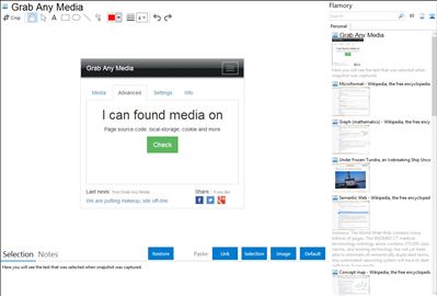 Grab Any Media - Flamory bookmarks and screenshots