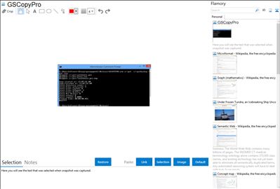 GSCopyPro - Flamory bookmarks and screenshots