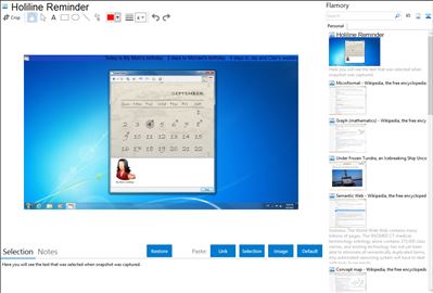 Holiline Reminder - Flamory bookmarks and screenshots